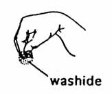 washide-63731.jpg
